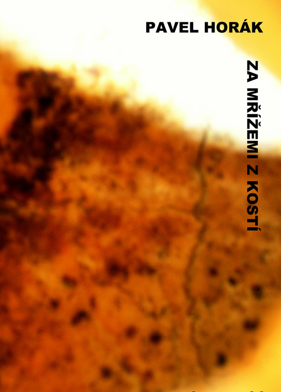 Horák Pavel - Za mřížemi z kostí