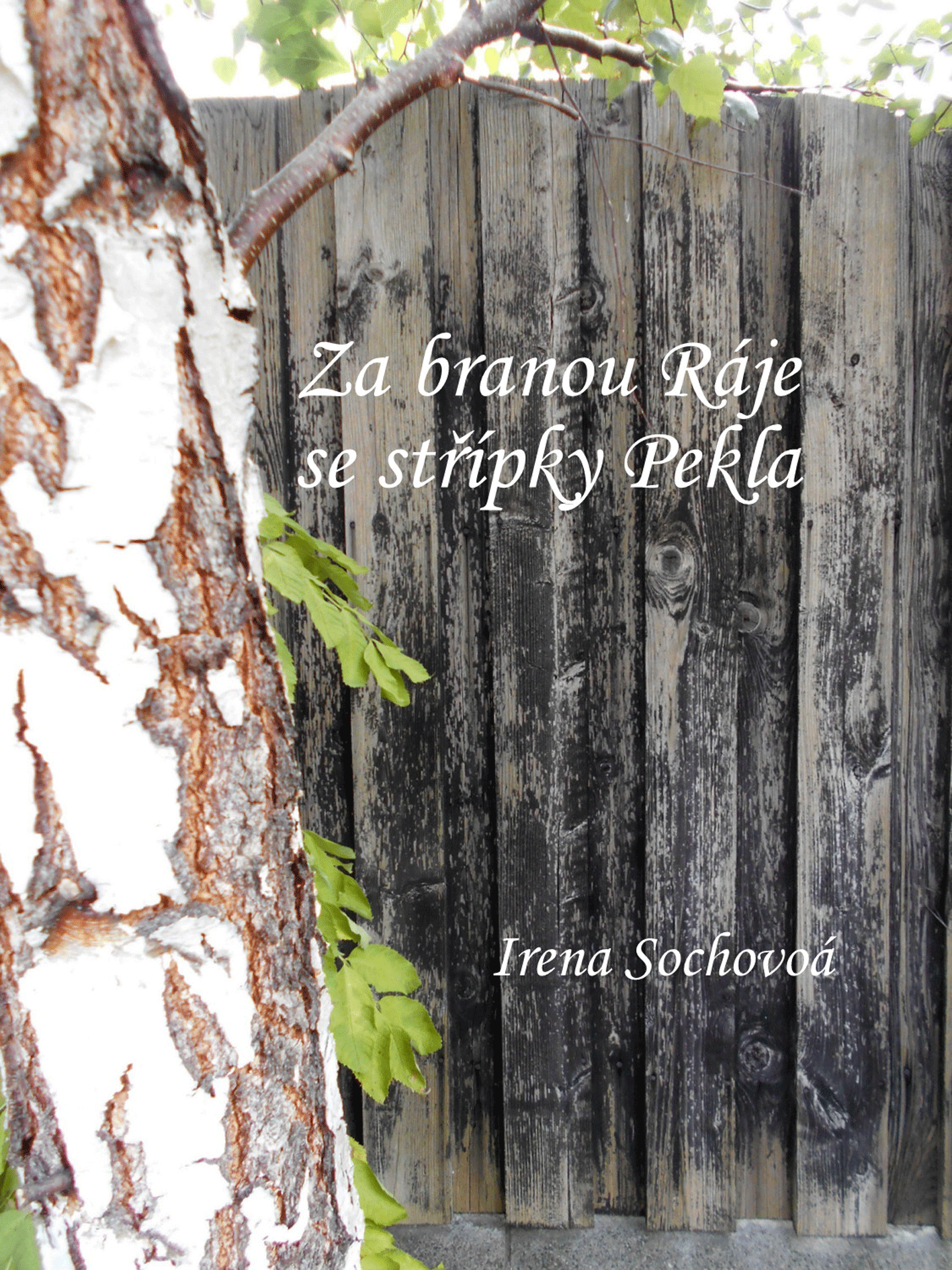 Sochová Irena - Za branou Ráje se střípky Pekla