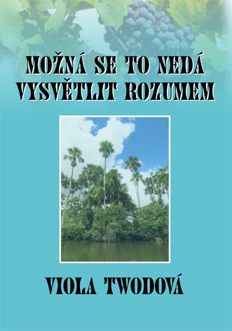 Twodová Viola - Možná se to nedá vysvětlit rozumem