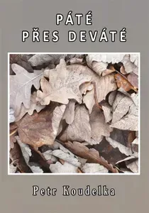 Koudelka Petr - Páté přes deváté