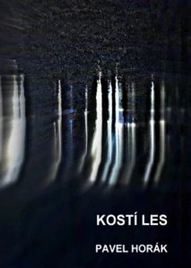 Horák Pavel - Kostí les