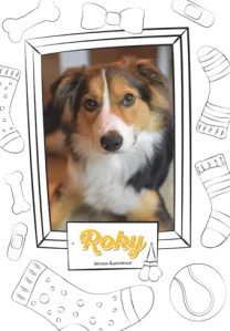 Šumníková Miriam - Roky