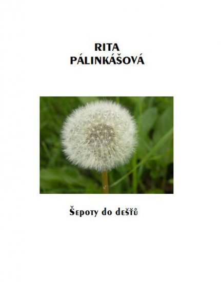 Pálinkášová Rita - Šepoty do dešťů
