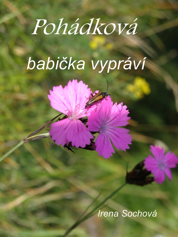 Sochová Irena - Pohádková babička vypráví I.