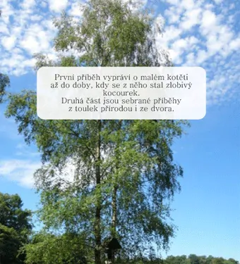 Sochová Irena - Vyprávění babičky z chaloupky pod starým kaštanem